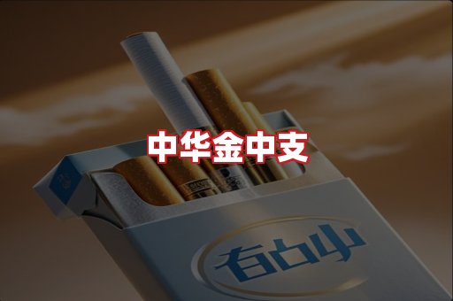 中华金中支